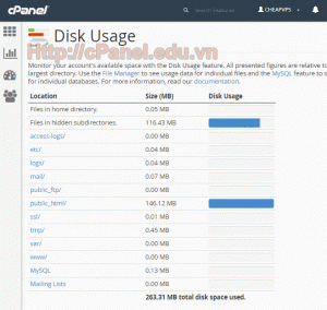 Giao diện Disk Usage trong cPanel hosting